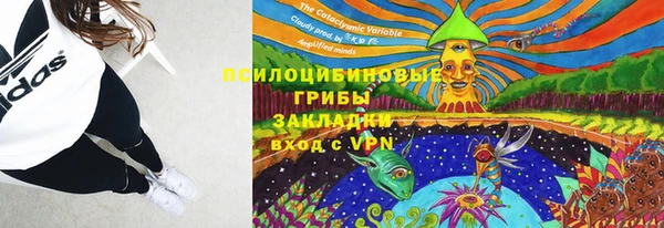 СК Абинск